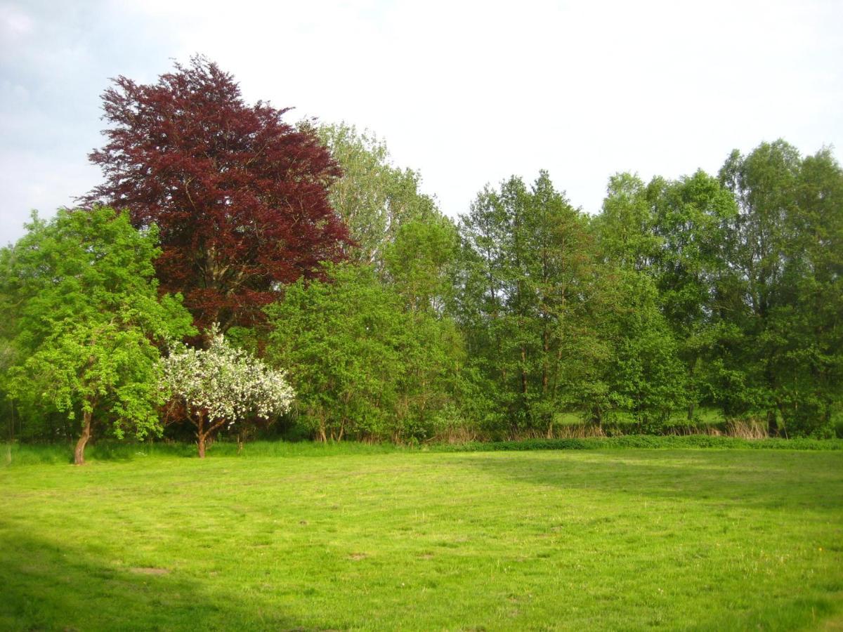 Gartenzimmer Im Schloss Neuhausen Neuhausen  Exterior foto